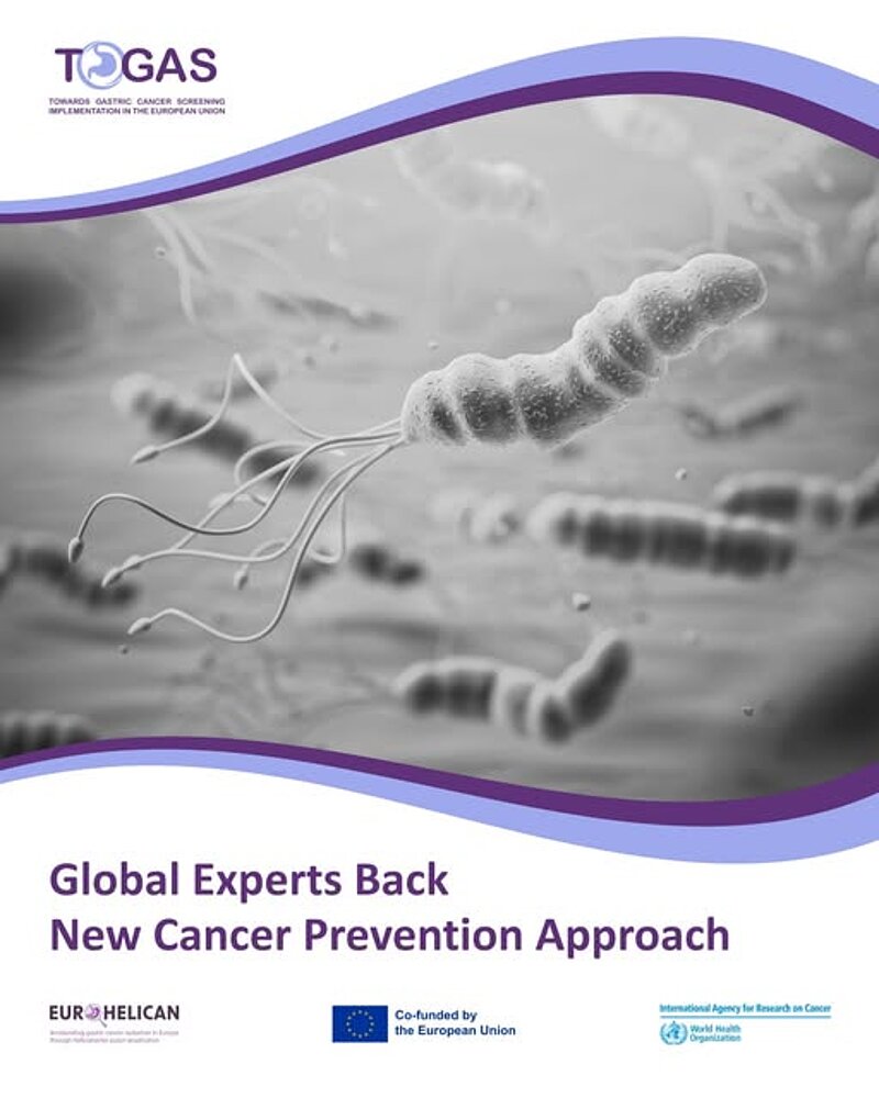 New global guidance on gastric cancer prevention!