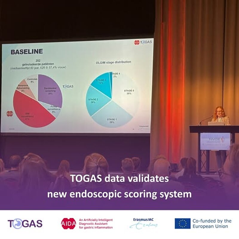 TOGAS data validates new endoscopic scoring system for Gastric Cancer Risk